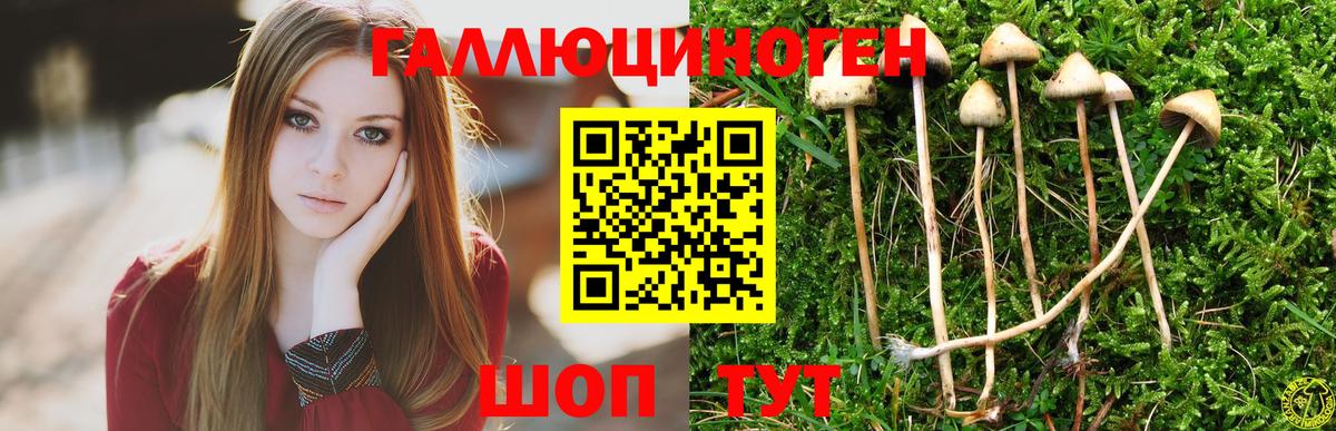 Подольск  Псилоцибиновые грибы ЛСД  Галлюциногенные грибы Psilocybe  Вход с VPN 